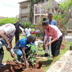 ILU Staff planting trees in ILU Kilimani