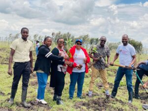 Tree Planting organized by ILUSA